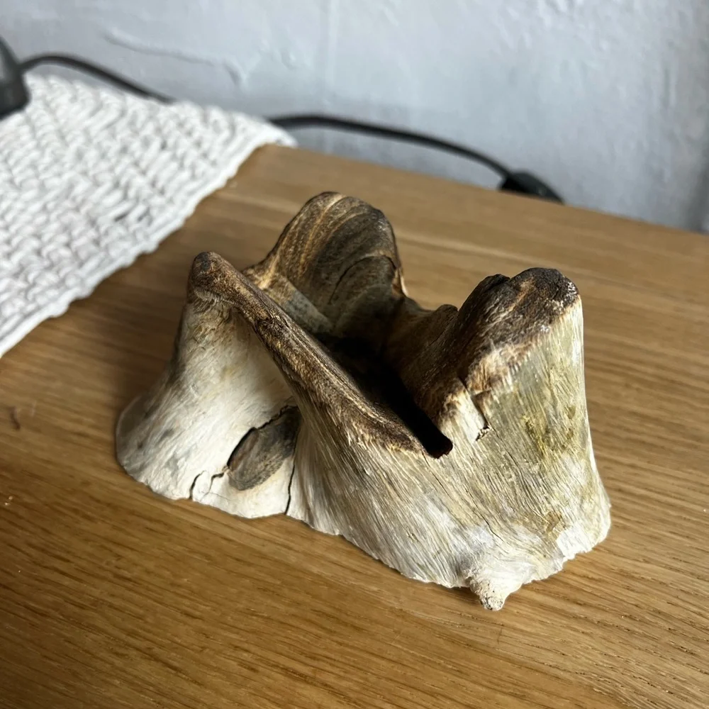 Molten Glass on Driftwood Sculpture – Coastal Vase or Shell Display, Ocean Decor